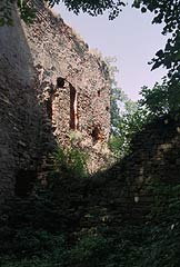 Zamek w Dbrwce Starzeskiej